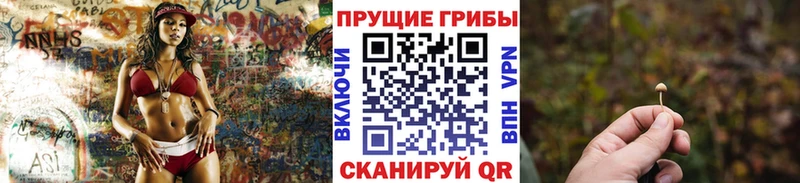 где купить   Вышний Волочёк  Псилоцибиновые грибы прущие грибы 